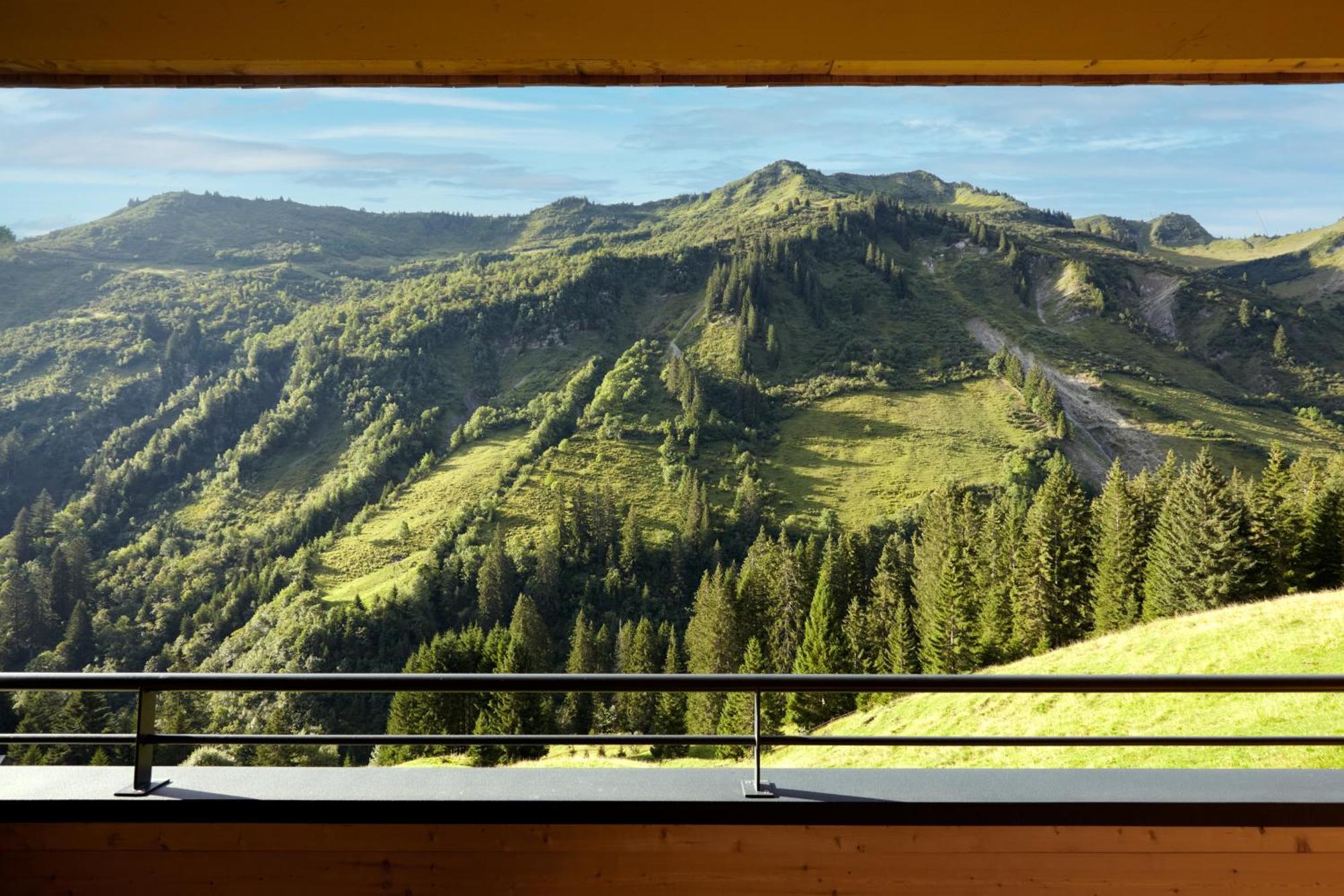 Alpenstolz Damuels Haus 1 - Stilvoll Urlauben In Den Bergen Lejlighed Eksteriør billede